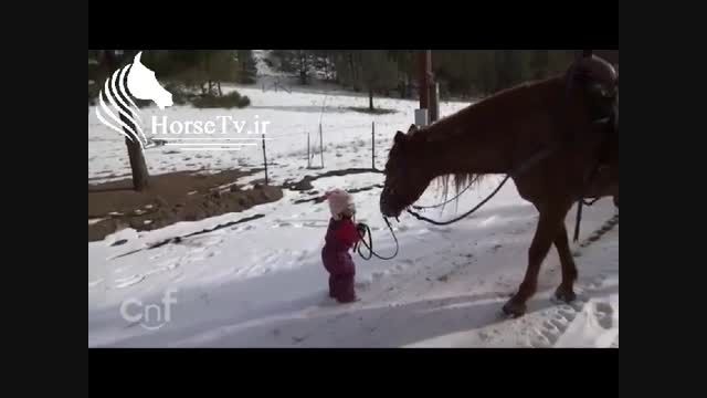 دوستی اسب و دختر بچه باهوش