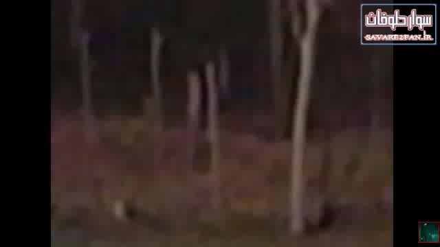 جن واقعی با ظاهری مخوف در حال دویدن در جنگل!