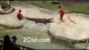 حمله تمساح به یک انسان