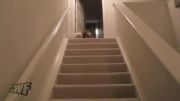 کودکی که به طرز عجیبی از پله پایین آمد