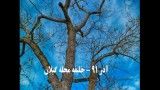 درخت گلابی وحشی ( خوج) در خلیفه محله گیلان