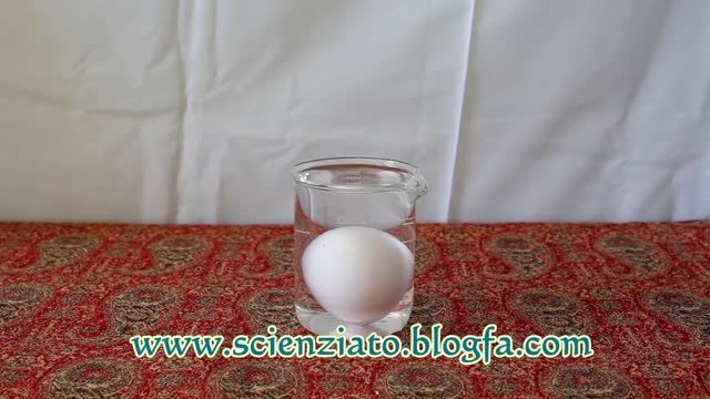 آزمایش تخم مرغ در سرکه