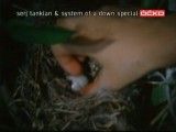 serj tankian - feed us - official video
