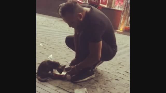 متین دو حنجره و غذا دادن به بچه گربه