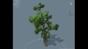 نرم افزار speedtree- درخت شماره 1