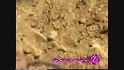 چشمه بیشه دباغها در اسفرجان باصدای مریم نشیبا