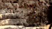 نینجا فارس(صخره نوردی)-سنسی دانشی