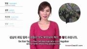 آموزش زبان کره ای (تعطیلات ؛ روز سال نو)