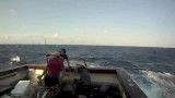 حمله ناگهانی ماهی غول پیکر به قایق