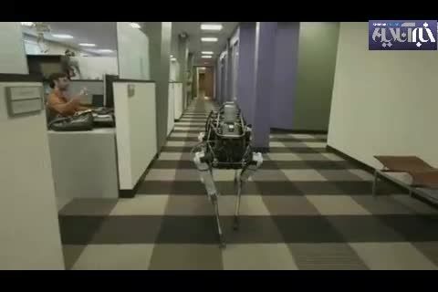 تازه ترین سگ رباتی گوگل که لگدمی خورد،ولی زمین نمی خورد