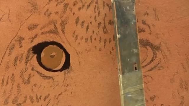 نقاشی چشم پلنگ با رنگ روغن - Bazeh.com