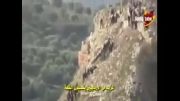 تک تیراندازان و ارتش سوریه و گیر افتادن گروهی از تروریستها بالای تپه و فرار جالبشون:))
