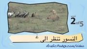 آموزش عربی با تصویر-39