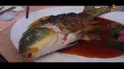 سرو ماهی زنده در یک رستوران