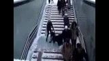 پله های یخ زده و ملت بدبخت!!!