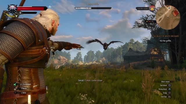 Killing Griffin In The Witcher 3: Part 2