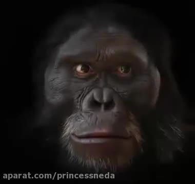 تکامل شش میلیون سال صورت انسان  در یک دقیقه