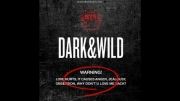 BTS-Dark and Wild-Danger ☠