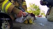 تلاش آتش نشان برای نجات بچه گربه