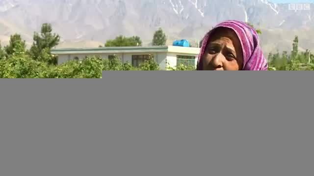 عطر گل محمدی در افغانستان