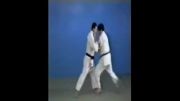 Kouchi Gari - 65 Throws of Kodokan Judo