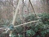 grimbo;s triangle perch bird snare - YouTube