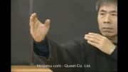 تکنیک های کوپو جوتسو استاد هاتسومی