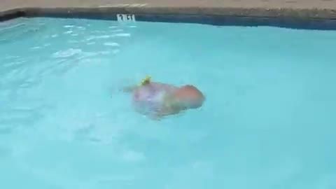 شنای نوزاد در استخر !