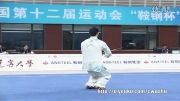 ووشو ، مسابقات داخلی چین فینال تیجی جی ین ، مقام 6ام