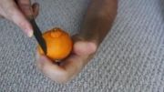 روش جالب برای پوست کردن نارنگی