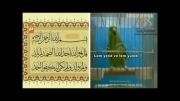 Reading AL-ekhlas-AL-Naas)Amazing  parrot)