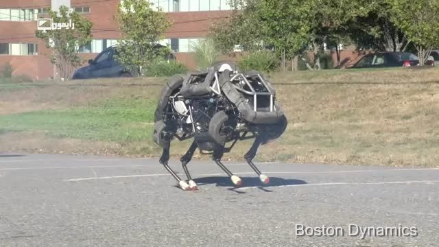 ربات Wildcat از boston dynamics
