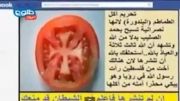 گوجه حرام است...