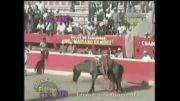 کشته شدن اسب بیگناه در مسابقات گاوبازی