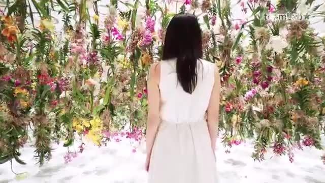 باغ گل شناور در ژاپن
