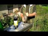 How To Make A Wasp Trap - YouTube