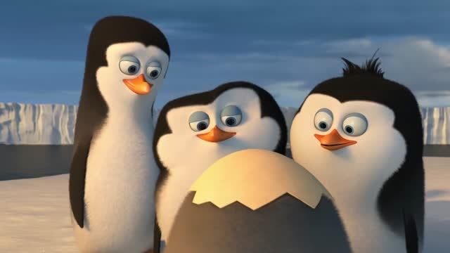 انیمیشن پنگوئن های ماداگاسکار