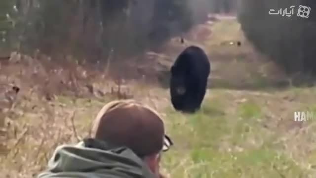 شکار خرس با اسلحه از نمای نزدیک