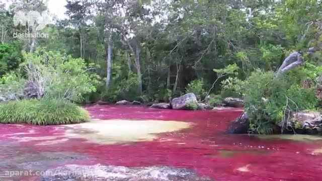 کارناوال |رودخانه رنگین کمان مایع در کلمبیا