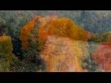 یدئوی زیبای برگهای پاییز اثر جیووانی مارادی