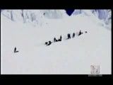 سقوط هلیکوپتر در برف