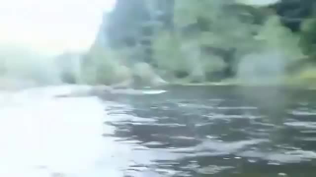 عقاب در یک لحظه ماهی ماهیگیر را با حمله با خود می برد