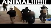 تفاوت داعش با حیوان