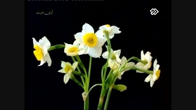 باغ گل های اصفهان