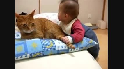 بچه و گربه دوست داشتنیش.