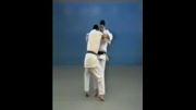 Sumi Gaeshi - 65 Throws of Kodokan Judo