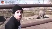 شوخی خرکی پسر با کرگدن در باغ وحش ...!