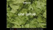 آموزش کلمات فرانسه 1 (سبزیجات)