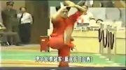 ووشو،چان چوون،مسابقات فینال1997چین،یوون ون چینگ از شن سشی