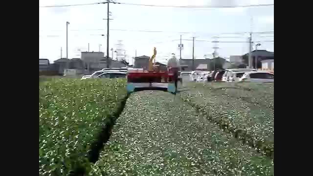 tea harvesting machine